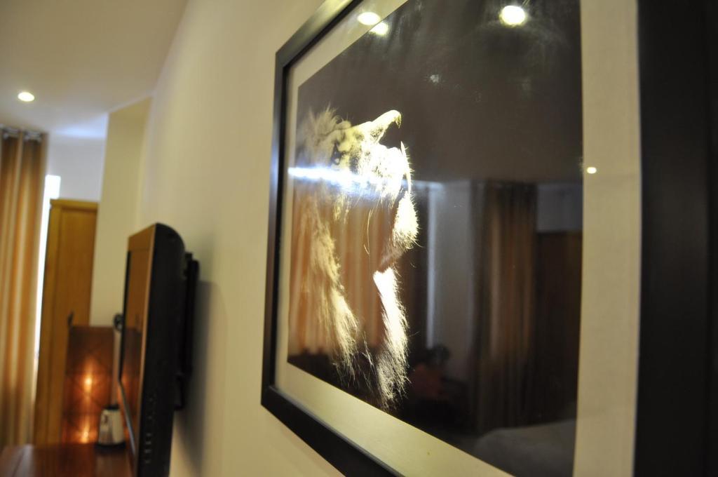 White Lion Hotel Nha Trang Rom bilde